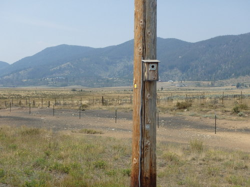 GDMBR: Blue Bird Box.